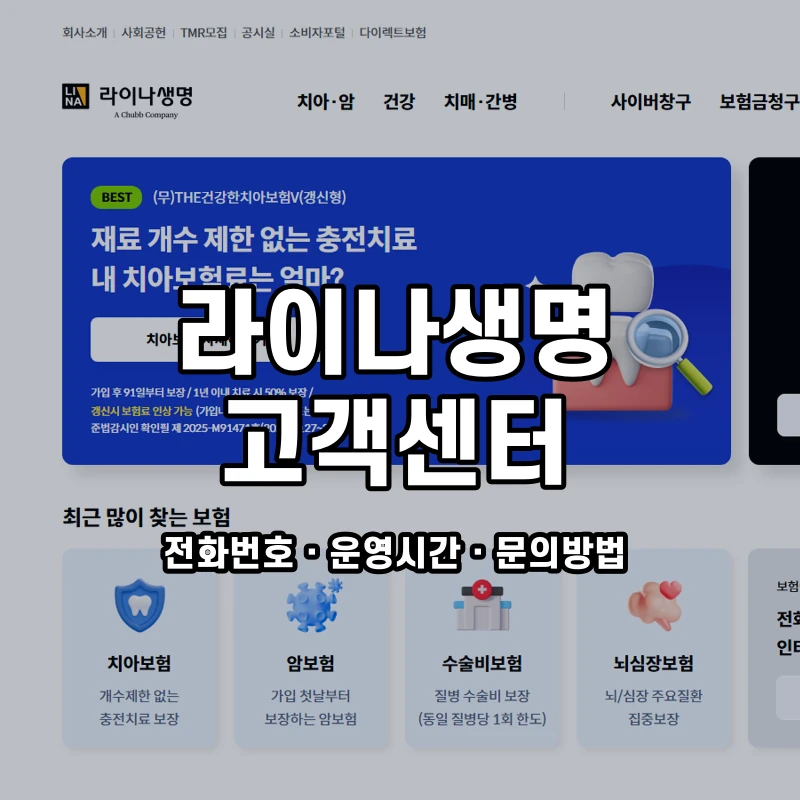 라이나생명 고객센터 공식 홈페이지 화면